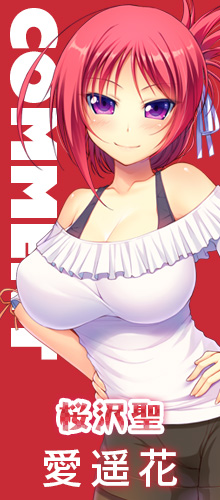 COMMENT03
